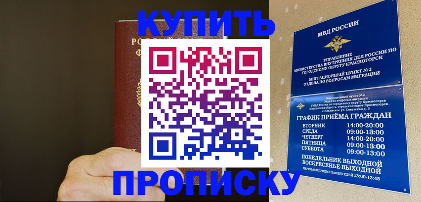 прописка поиск в Березниках